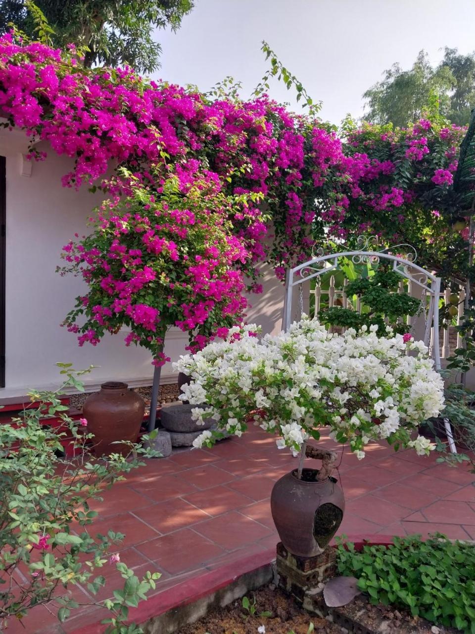 נין בין Nha Xanh Homestay מראה חיצוני תמונה