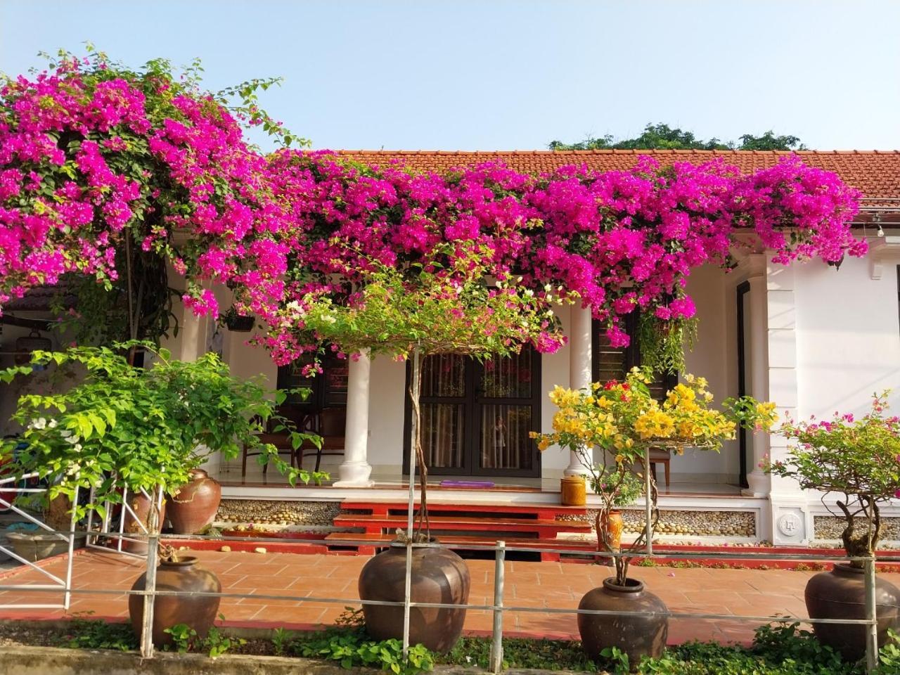 נין בין Nha Xanh Homestay מראה חיצוני תמונה