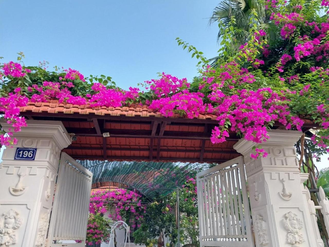 נין בין Nha Xanh Homestay מראה חיצוני תמונה